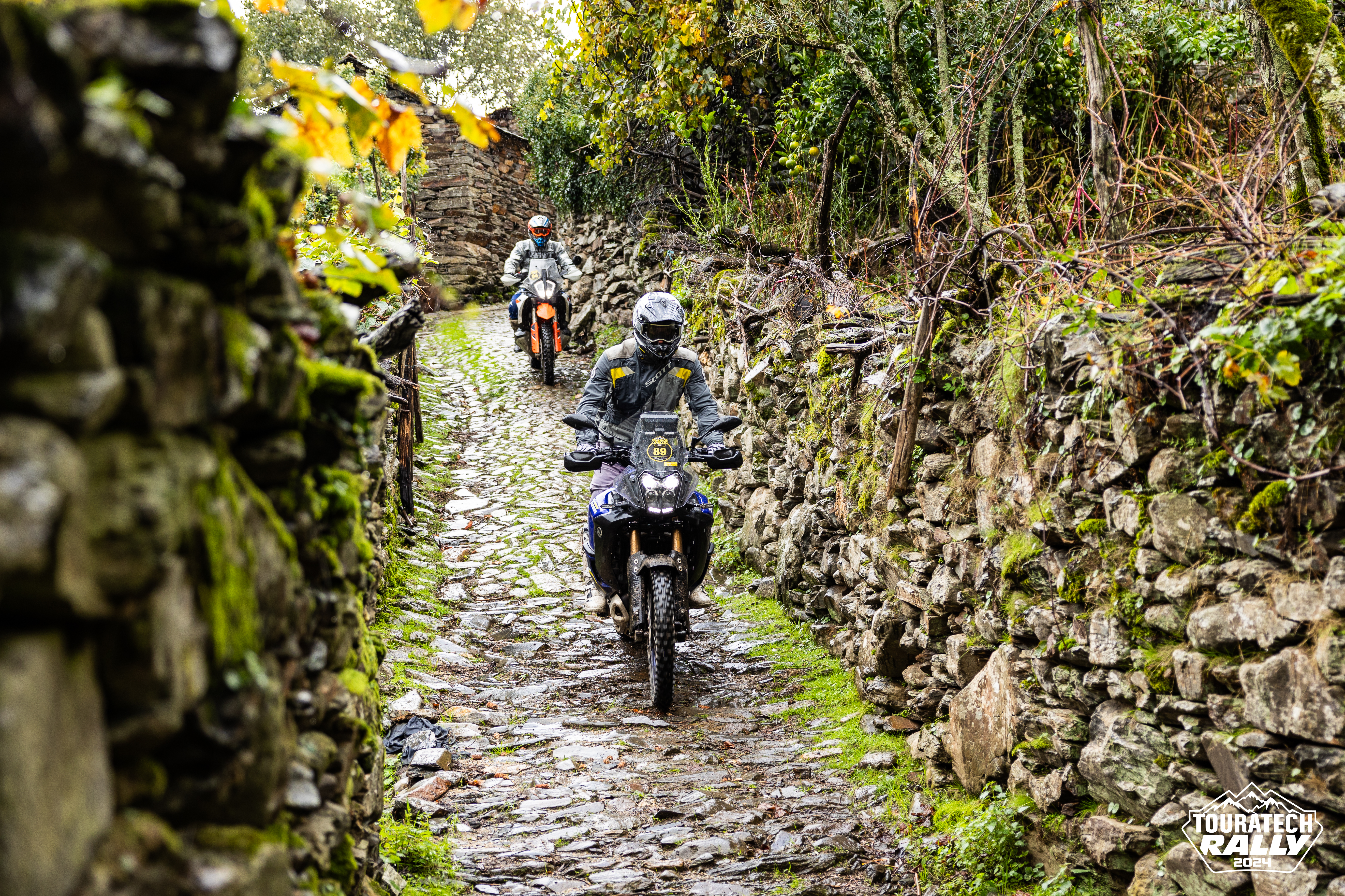 TT Rally D2 - BR-61.jpg