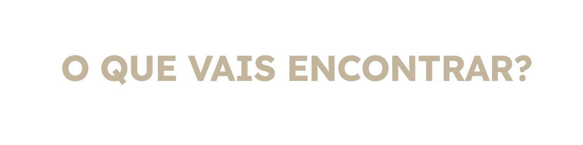 O QUE VAIS ENCONTRAR.png